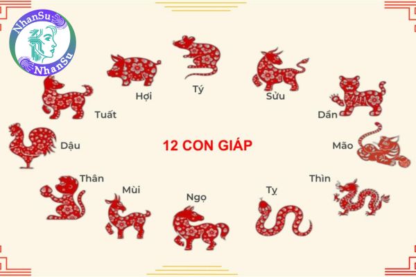 Tử vi Thứ Hai ngày 17 3 2025 của 12 con giáp về công việc, tình cảm và sức khỏe?