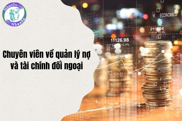 Chuyên viên về quản lý nợ và tài chính đối ngoại là ai? Công việc của chuyên viên về quản lý nợ và tài chính đối ngoại là gì?