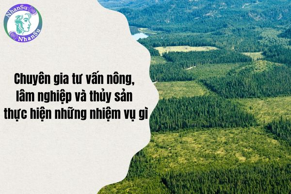 Chuyên gia tư vấn nông, lâm nghiệp và thủy sản thực hiện những nhiệm vụ gì?