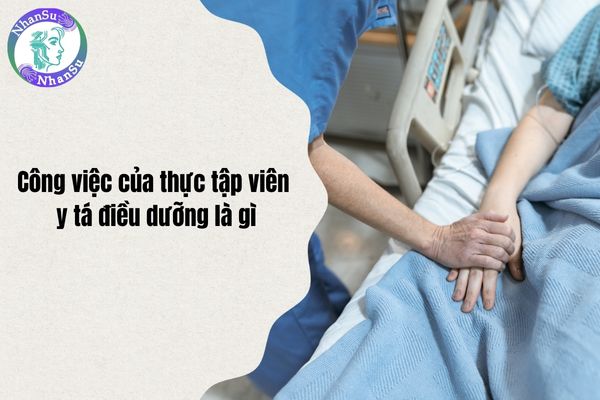 Công việc của thực tập viên y tá điều dưỡng là gì?