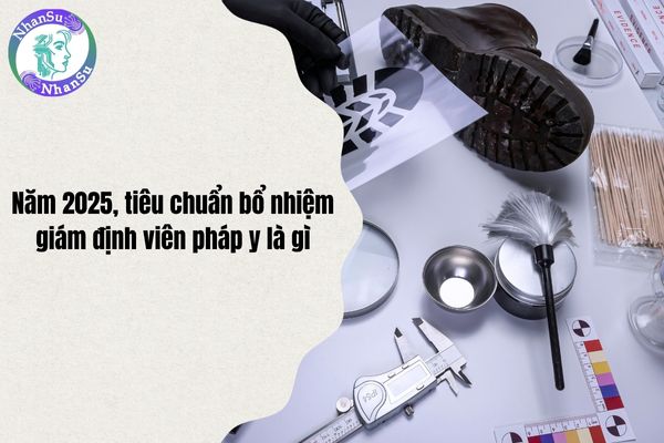 Năm 2025, tiêu chuẩn bổ nhiệm giám định viên pháp y là gì?