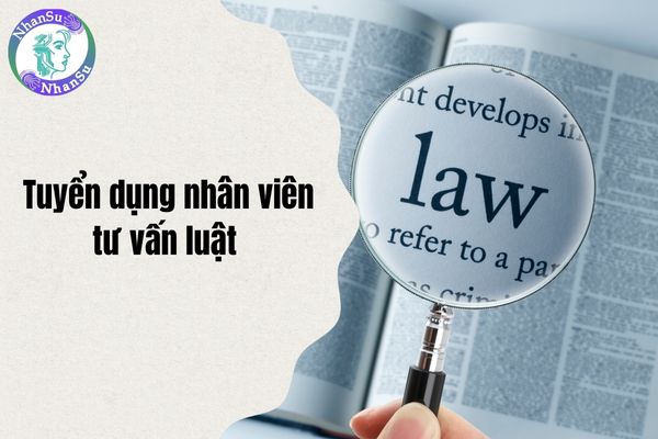 Tuyển dụng nhân viên tư vấn luật không yêu cầu kinh nghiệm tại Hà Nội?