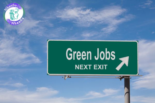 Green Jobs là gì? Liệu đây có phải là xu hướng tuyển dụng bền vững trong thời đại mới?