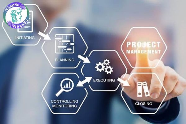 Giám đốc Dự án - Project Director: Mức lương lên đến 138 triệu đồng?