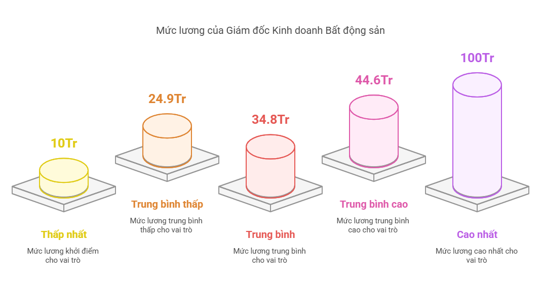 Năm 2025, Giám đốc Kinh doanh Bất động sản lương cao thật không? 