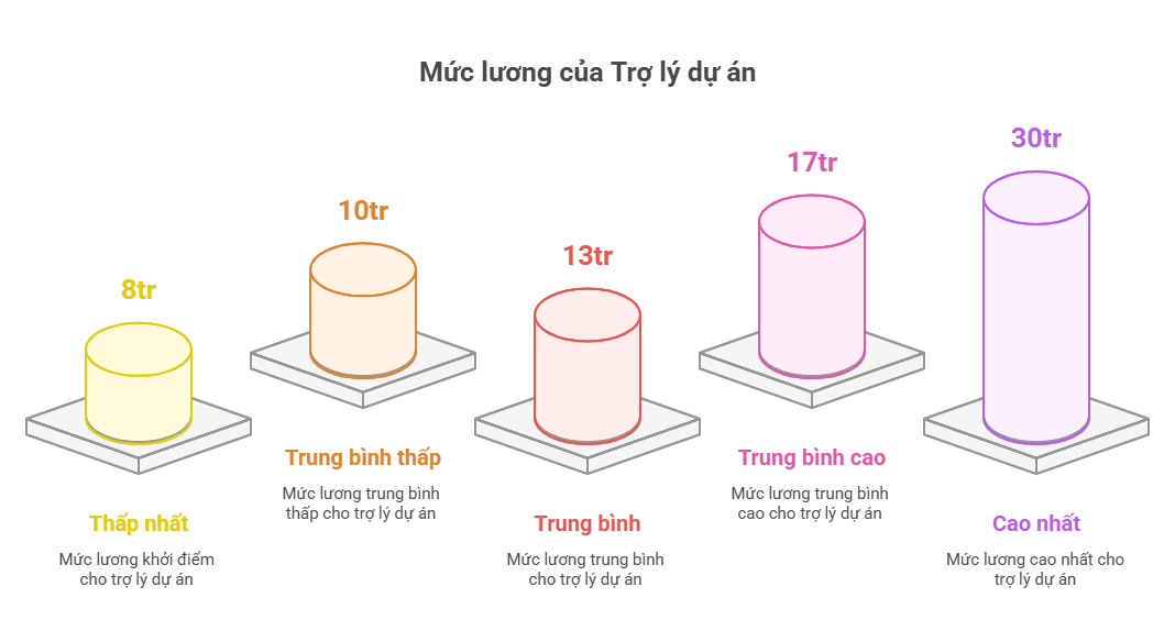 Năm 2025, mức lương Trợ lý dự án chạm mức 30 triệu đồng?