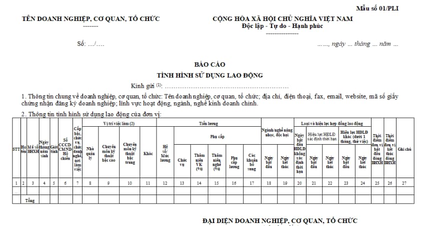 Mẫu báo cáo tình hình sử dụng lao động 6 tháng đầu năm 2025