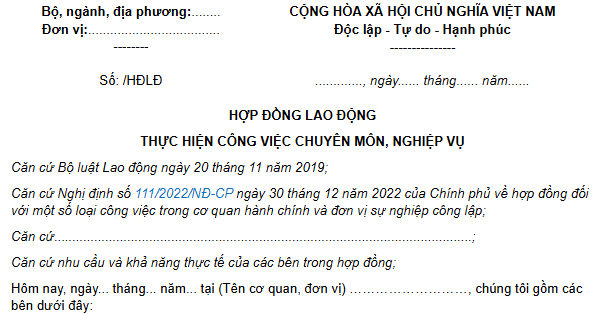 HỢP ĐỒNG LAO ĐỘNG THỰC HIỆN CÔNG VIỆC CHUYÊN MÔN, NGHIỆP VỤ