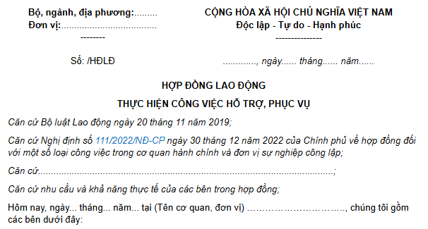 HỢP ĐỒNG LAO ĐỘNG THỰC HIỆN CÔNG VIỆC CHUYÊN MÔN, NGHIỆP VỤ