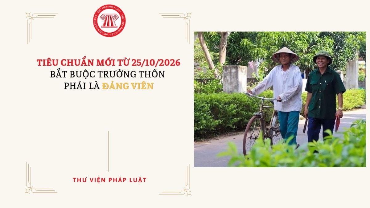 Lao Động Tiền Lương