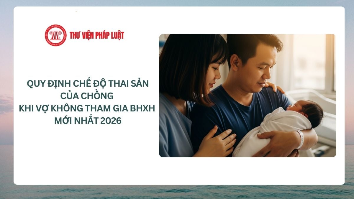 Lao Động Tiền Lương