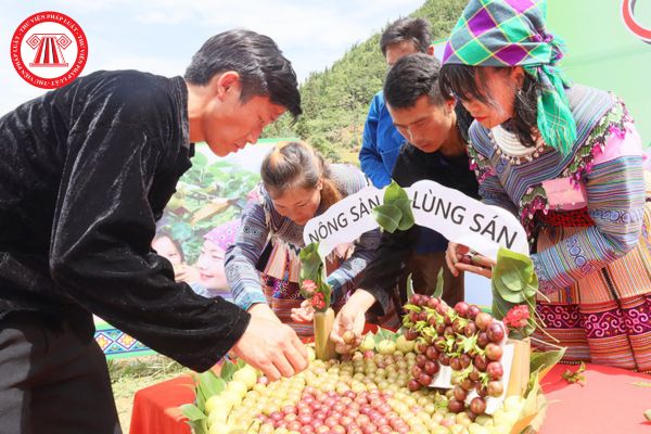 Khám phá lễ hội mận Tả Van? Người lao động là nhân viên lễ tân khi tham gia lễ hội mận Tả Van thì có cần trách nhiệm như thế nào?