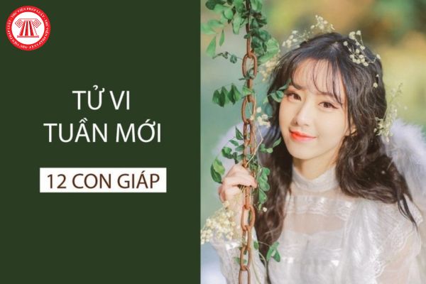 Tử vi tuần mới của 12 con giáp: Sự nghiệp, tài lộc, tình duyên có gì thay đổi? Mẹo phong thủy giúp 12 con giáp kinh doanh thuận lợi, tiền vào như nước?