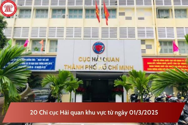 Địa bàn quản lý, trụ sở chính 20 Chi cục Hải quan khu vực từ ngày 01/3/2025? Khi nào Cục Hải quan mới chính thức đi vào hoạt động?