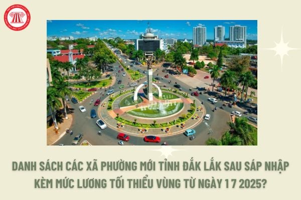 Đắk Lắk Chuyển Hơn 82 Ha Rừng Trồng Để Phục Vụ Khu Công Nghiệp Hòa Tâm