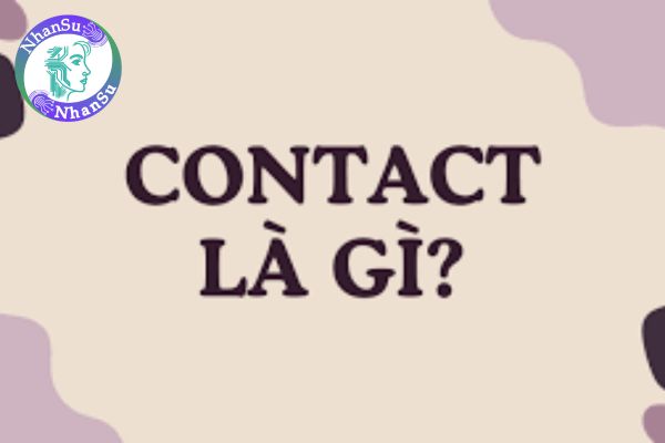 Contact là gì? Thuật ngữ contact trong công việc kinh doanh?