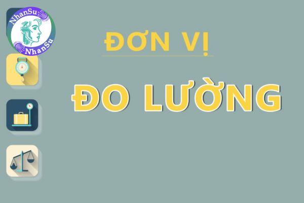 Bảng đo đơn vị khối lượng lớp 6? Cách tính và quy đổi đơn vị đo khối lượng?