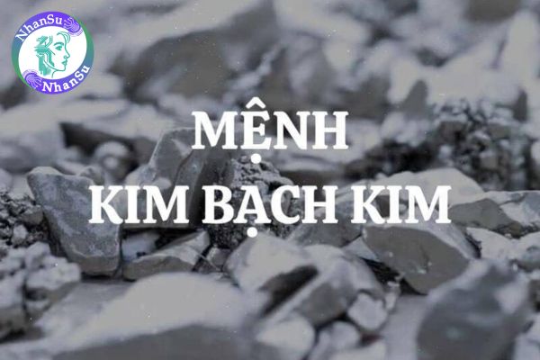 Kim Bạch Kim là mệnh gì? Gợi ý nghề nghiệp phù hợp với người mệnh Kim Bạch Kim giúp sự nghiệp thuận lợi?