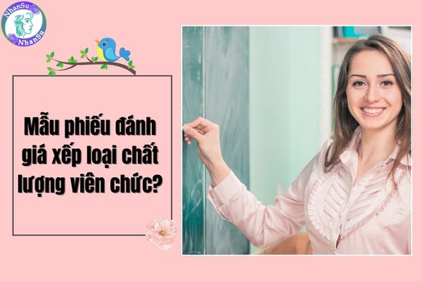Mẫu phiếu đánh giá xếp loại chất lượng viên chức dành cho giáo viên chuẩn nhất theo Nghị định 90?
