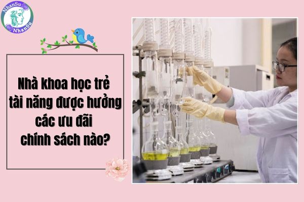 Nhà khoa học trẻ tài năng được hưởng các ưu đãi chính sách nào?