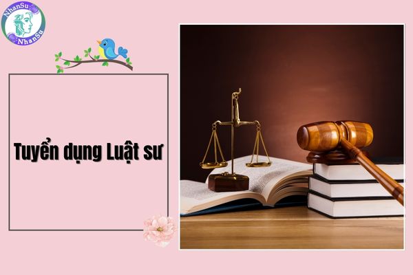 Việc làm tại Hà Nội 2025: Tuyển dụng Luật sư - Chi nhánh Văn phòng Luật sư Ying Ke Thành phố Bắc Kinh tại Hà Nội?