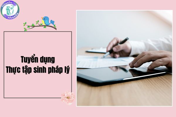 Tuyển dụng Thực tập sinh pháp lý có hỗ trợ lương khu vực TPHCM của Công ty TNHH Dịch vụ tư vấn Anpha (Kế Toán Anpha)?