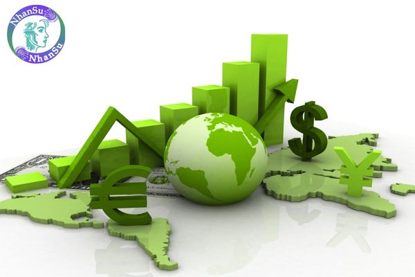 NGO viết tắt của cụm từ gì? Hiện nay, mức lương làm việc tại NGO là bao nhiêu?