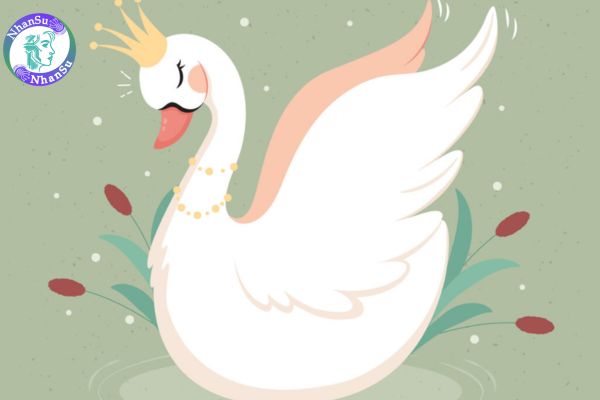 Nguyên tắc SWAN là gì? Bí quyết áp dụng nguyên tắc SWAN trong tuyển dụng hiệu quả?