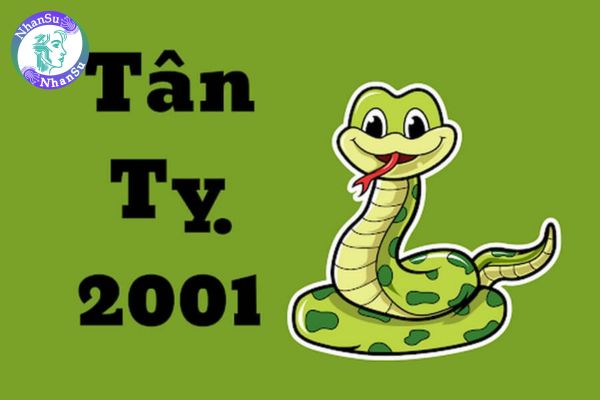 Tuổi‍ Tân‍ Tỵ‍ ( sinh năm 2001) làm‍ ngành‍ tài‍ chính‍ năm‍ 2025‍ có‍ thăng‍ tiến‍ không?