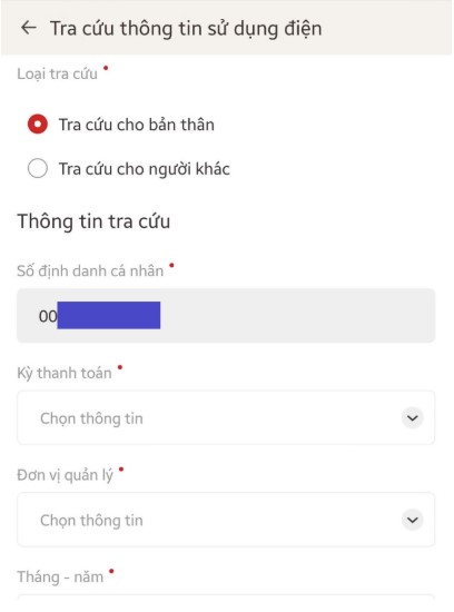 Hướng dẫn tra cứu thông tin sử dụng Điện trên VNeID