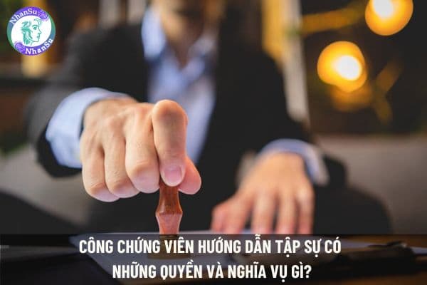 Công chứng viên hướng dẫn tập sự có những quyền và nghĩa vụ gì?