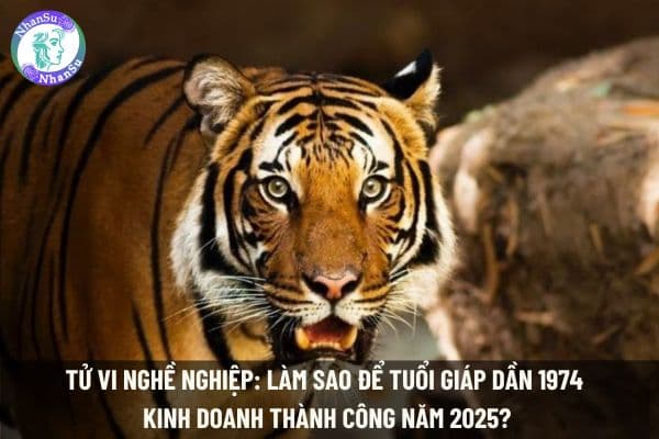Tử vi nghề nghiệp: Làm sao để tuổi Giáp Dần 1974 kinh doanh thành công năm 2025?