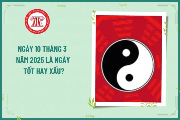 Ngày 10 tháng 3 năm 2025 là ngày tốt hay xấu? Cá nhân, người làm kinh doanh cần lưu ý những gì trong ngày 10 tháng 3 năm 2025?