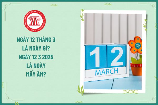 Ngày 12 tháng 3 là ngày gì? Ngày 12 3 2025 là ngày mấy âm? Tính thuế TNCN ra sao đối tới tiền lương làm thêm ngày 12 3 2025 của người lao động là kế toán?