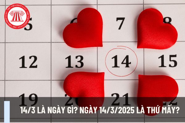 14/3 là ngày gì? Ngày 14/3/2025 là thứ mấy? Ngày 14/3/2025 kế toán có được nghỉ làm không?