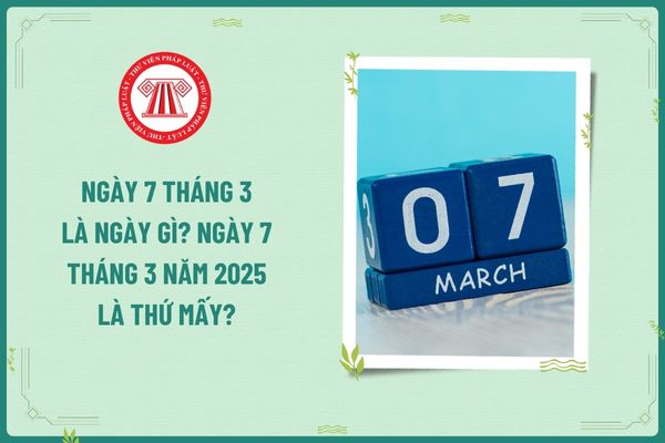 Ngày 7 tháng 3 là ngày gì? Ngày 7 tháng 3 năm 2025 là thứ mấy? Tiền lương làm thêm giờ vào ngày này của kế toán tính thuế TNCN ra sao?