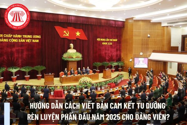 Hướng dẫn cách viết bản cam kết tu dưỡng rèn luyện phấn đấu năm 2025 cho Đảng viên? Đảng viên có được phép kinh doanh?