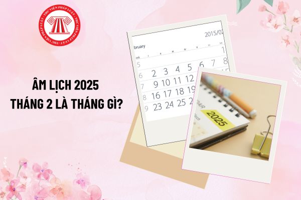 Âm lịch 2025 tháng 2 là tháng gì? Kế toán làm việc theo hợp đồng được nghỉ các ngày lễ tết nào trong năm 2025?