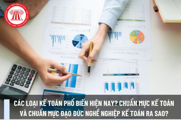 Các loại kế toán phổ biến hiện nay? Chuẩn mực kế toán và chuẩn mực đạo đức nghề nghiệp kế toán ra sao?