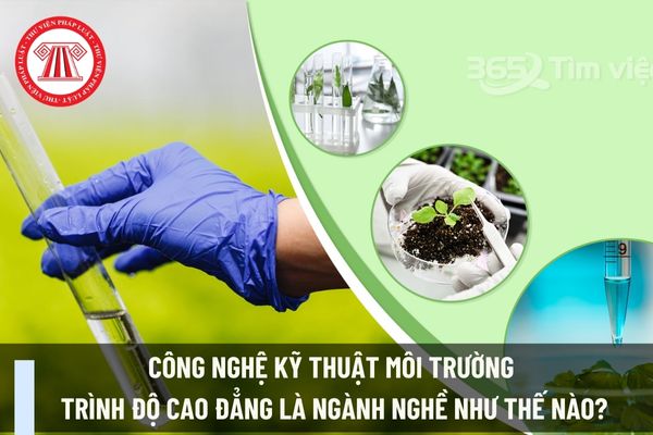 Công nghệ kỹ thuật môi trường trình độ cao đẳng là ngành nghề như thế nào?