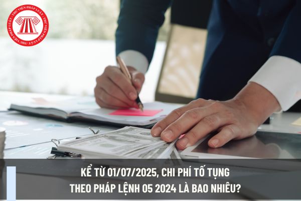 Kể từ 01/07/2025, chi phí tố tụng theo Pháp lệnh 05 2024 là bao nhiêu? Chi phí cho luật sư, trợ giúp viên pháp lý khi được chỉ định bào chữa trong tố tụng hình sự?