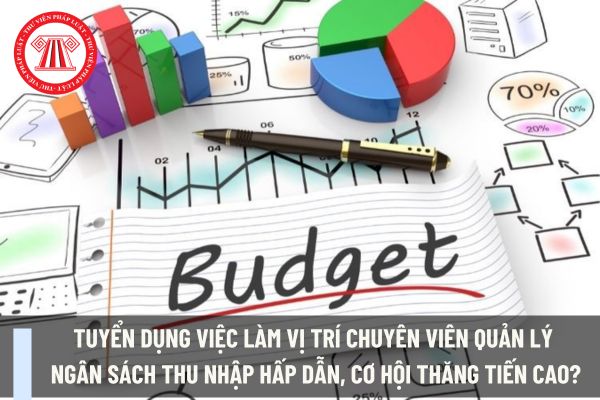 Tuyển dụng việc làm vị trí Chuyên viên Quản lý Ngân sách thu nhập hấp dẫn, cơ hội thăng tiến cao?