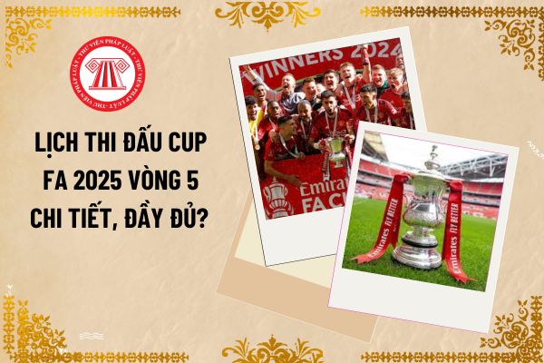 Lịch thi đấu Cup FA 2025 vòng 5 chi tiết, đầy đủ? Nghĩa vụ của vận động viên, cầu thủ bóng đá đội tuyển thể thao quốc gia Việt Nam ra sao?