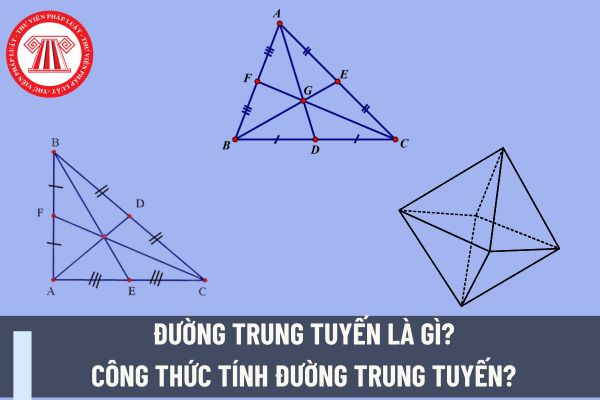 Đường trung tuyến là gì? Công thức tính đường trung tuyến? Nhiệm vụ của giáo viên dạy môn Toán học được quy định ra sao?