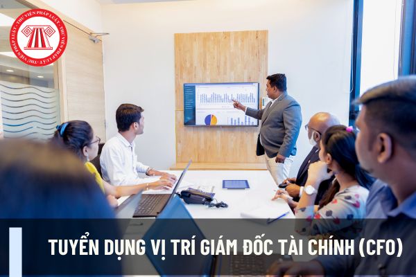 Tuyển dụng vị trí giám đốc tài chính (CFO), những thông tin cần biết về vị trí này?