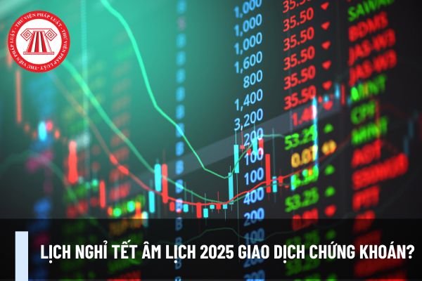 Lịch nghỉ Tết Âm lịch 2025 giao dịch chứng khoán? Cá nhân cần đáp ứng điều kiện gì để được cấp chứng chỉ hành nghề môi giới chứng khoán?