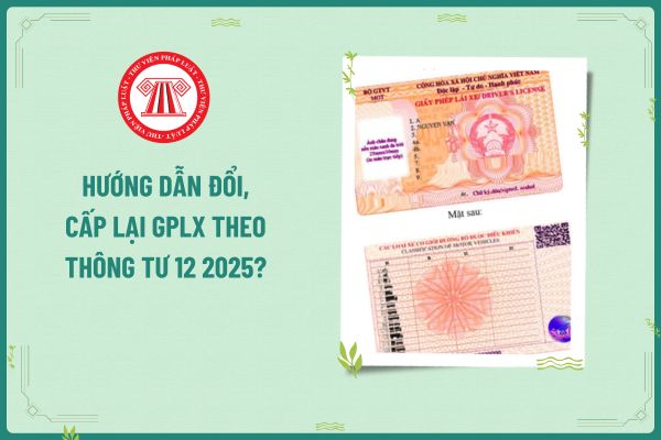 Hướng dẫn đổi, cấp lại GPLX theo Thông tư 12 2025? Công nhận kết quả sát hạch bằng lái xe hạng B của tài xế xe vận chuyển hành khách ra sao?