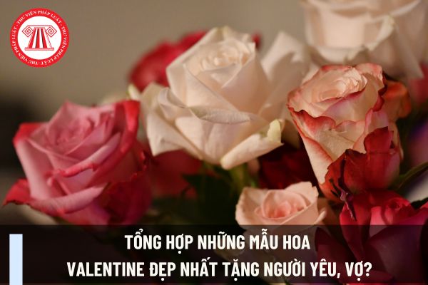 Tổng hợp những mẫu hoa Valentine đẹp nhất tặng người yêu, vợ? Valentine là ngày mấy? Ngày Valentine kế toán có được nghỉ làm không?