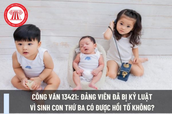 Công văn 13421: Đảng viên đã bị kỷ luật vì sinh con thứ ba có được hồi tố không? Đảng viên làm kinh tế tư nhân phải có nghĩa vụ gì?