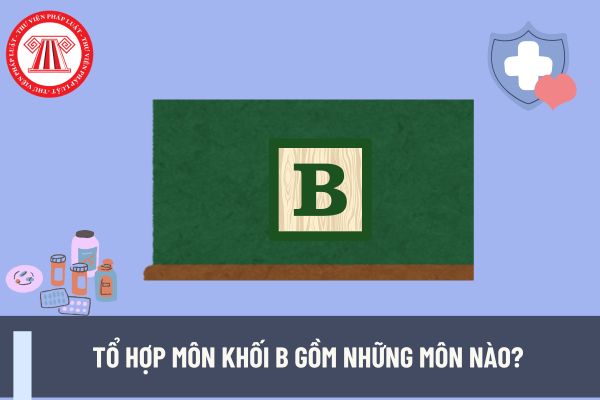 Tổ hợp môn khối B gồm những môn nào? Khối B không học y, dược thì chọn ngành gì để ra trường có việc làm?